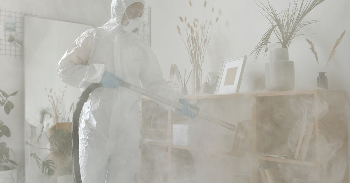 Addressing Mould Concerns During Real Estate Transactions