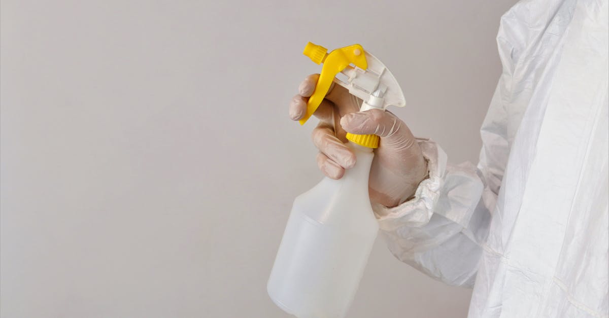 Best Practices for Dehumidification During Mould Clean-Up