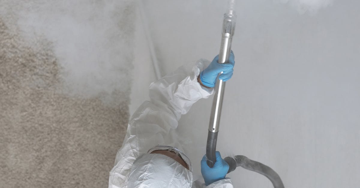 Common Misconceptions About Mould and Home Safety