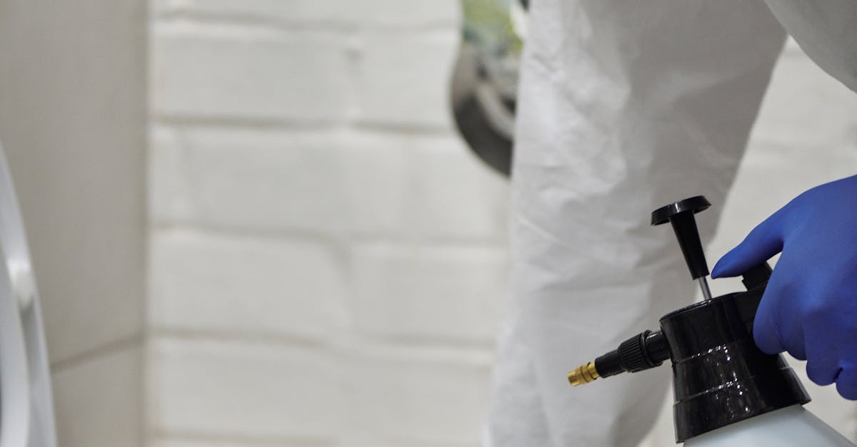 Dehumidifier Maintenance Tips for Optimal Performance