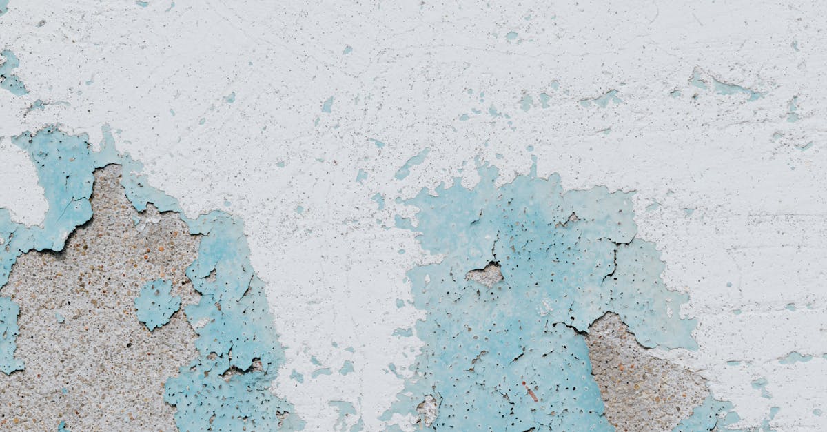 Efficacy of Hydrogen Peroxide in Mould Elimination