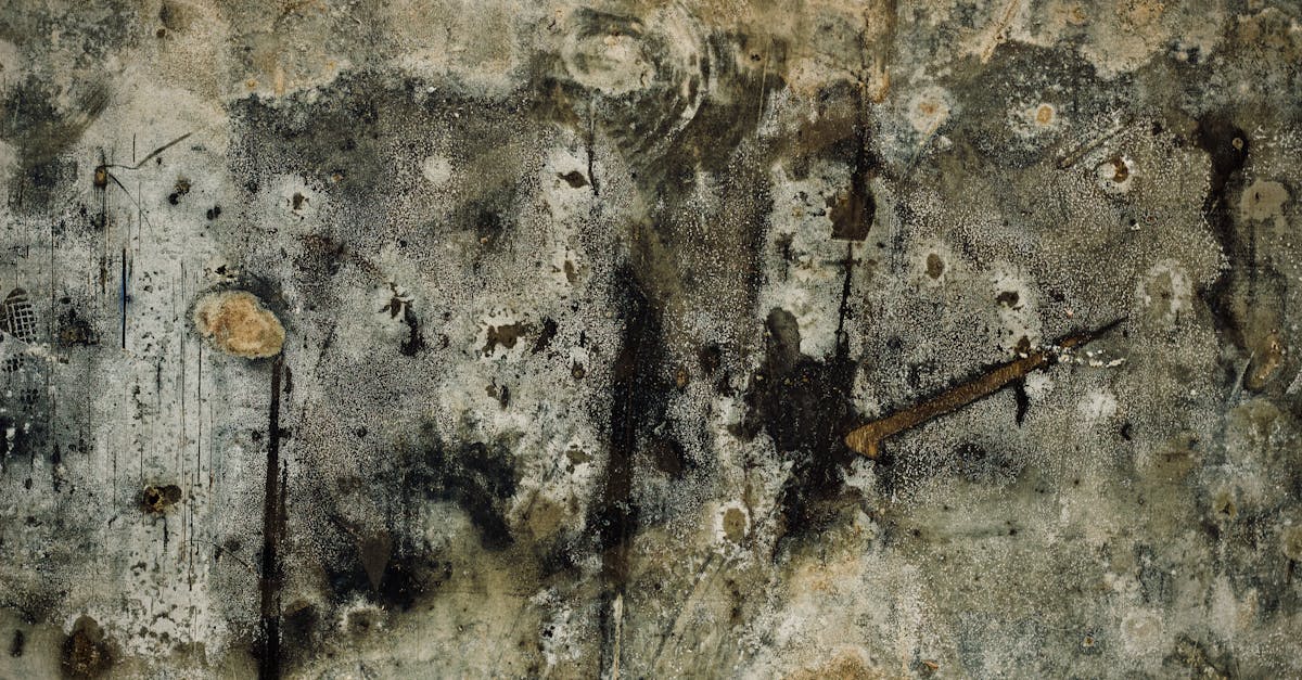 Evaluating Environmental Impact of Chemical Mould Treatments