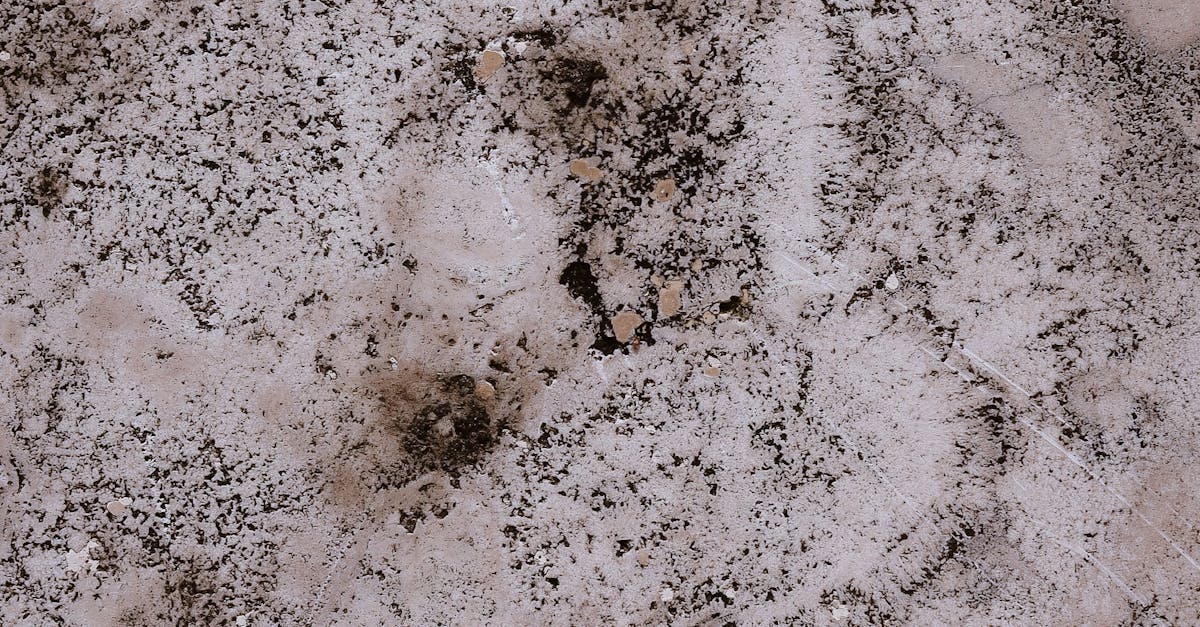 Exploring the Connection Between Mould and Sleep Disturbances