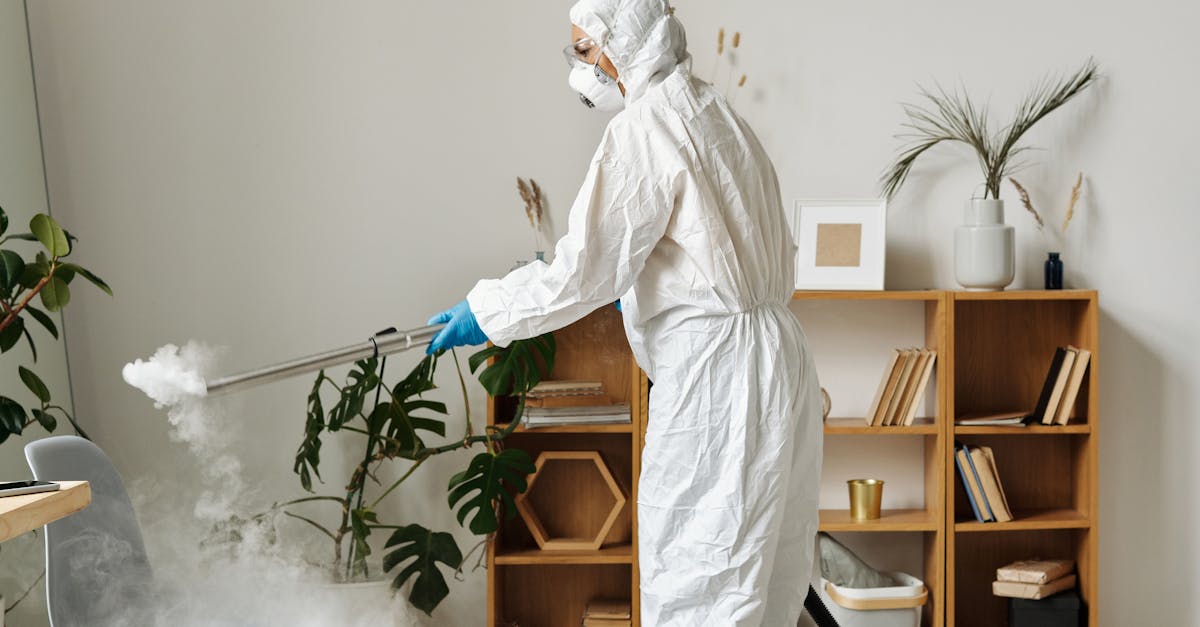 Safe Removal of Mouldy Materials through Controlled Demolition