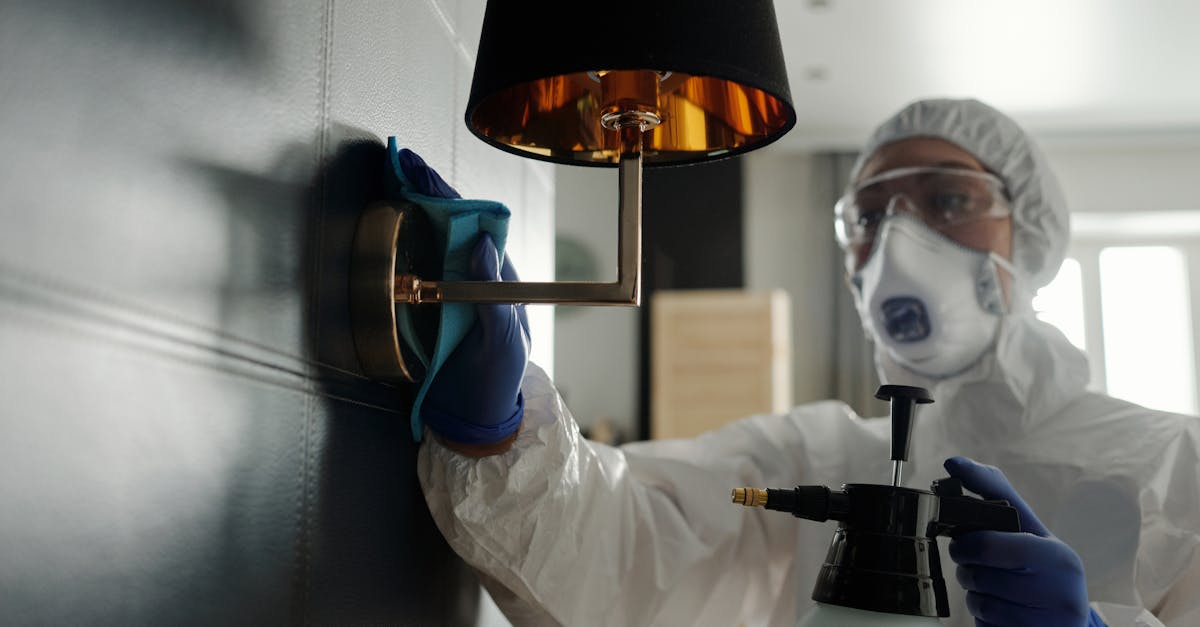 Selecting Mould-Resistant Furniture for Indoor Spaces