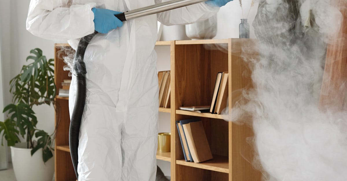 The Importance of Regular Inspections for Mould Prevention