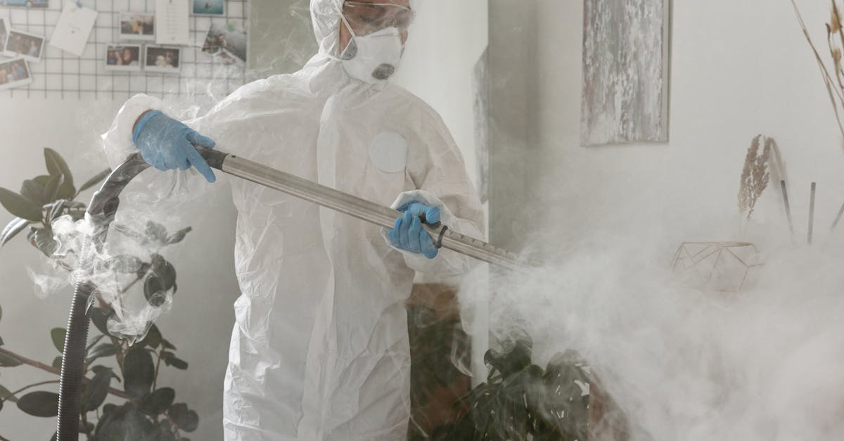 The Role of Roof Inspections in Mould Prevention